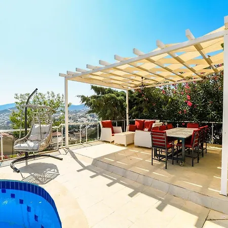 Teoman Kalkan